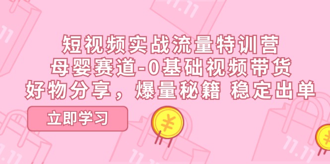 （11373期）短视频实战流量特训营，母婴赛道-0基础带货，好物分享，爆量秘籍 稳定出单-网赚联盟