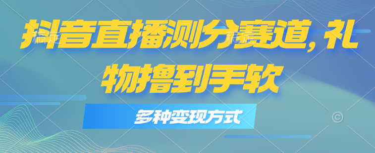 （11380期）抖音直播测分赛道，多种变现方式，轻松日入1000+-网赚联盟