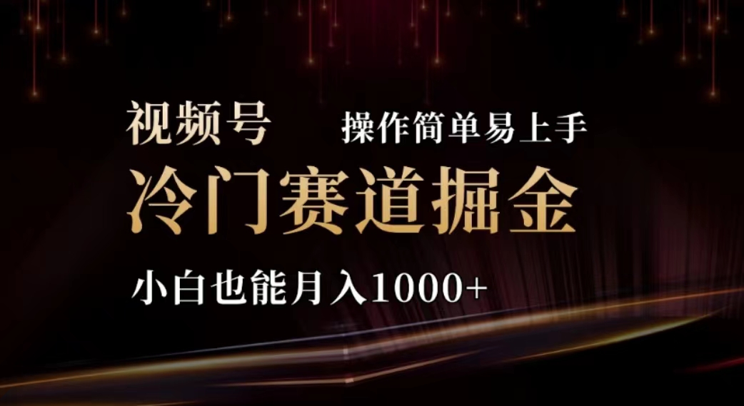 （11378期）2024视频号冷门赛道掘金，操作简单轻松上手，小白也能月入1000+-网赚联盟