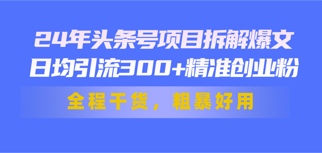 （11397期）24年头条号项目拆解爆文，日均引流300+精准创业粉，全程干货，粗暴好用-网赚联盟