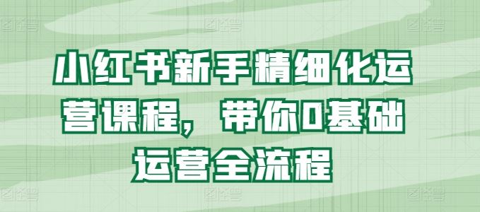 小红书新手精细化运营课程，带你0基础运营全流程-网赚联盟