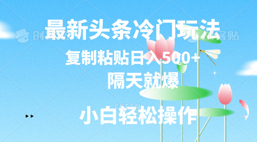 （11414期）最新头条冷门玩法，隔天就爆，复制粘贴日入500+-网赚联盟