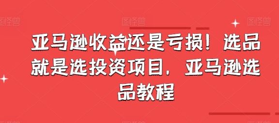 亚马逊收益还是亏损！选品就是选投资项目，亚马逊选品教程-网赚联盟