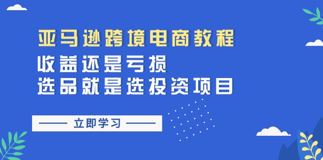 （11432期）亚马逊跨境电商教程：收益还是亏损！选品就是选投资项目-网赚联盟