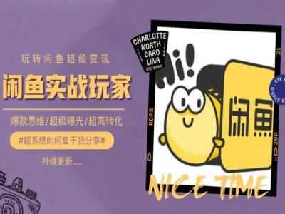 手把手教你0到1系统玩转闲鱼变现，爆款思维/超级曝光/超高转化-网赚联盟