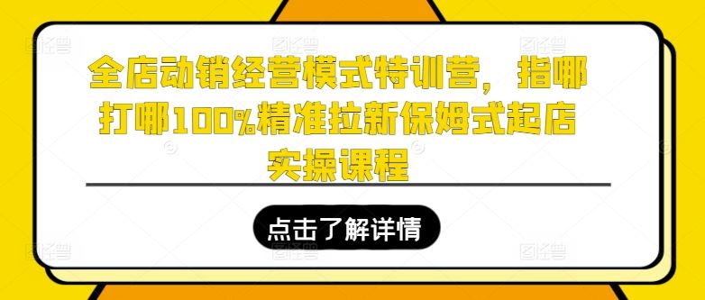 全店动销经营模式特训营，指哪打哪100%精准拉新保姆式起店实操课程-网赚联盟