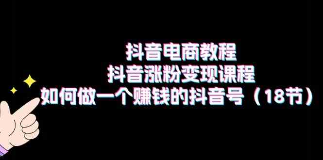 抖音电商教程：抖音涨粉变现课程：如何做一个赚钱的抖音号（18节）-网赚联盟