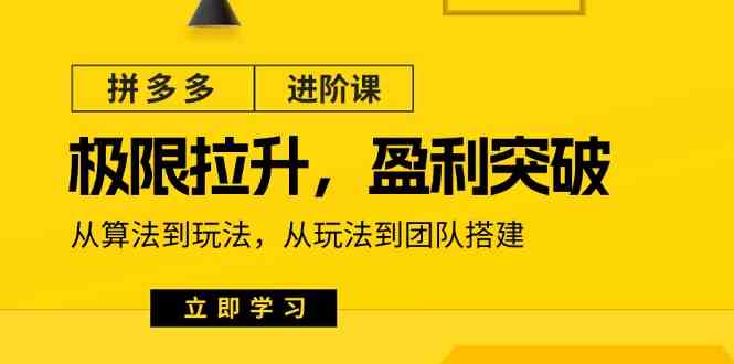 拼多多进阶课：极限拉升/盈利突破：从算法到玩法 从玩法到团队搭建（18节）-网赚联盟