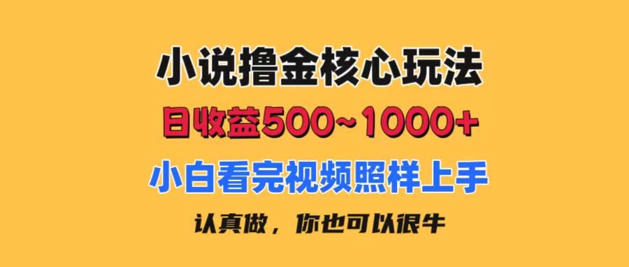 （11461期）小说撸金核心玩法，日收益500-1000+，小白看完照样上手，0成本有手就行-网赚联盟