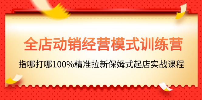 （11460期）全店动销-经营模式训练营，指哪打哪100%精准拉新保姆式起店实战课程-网赚联盟