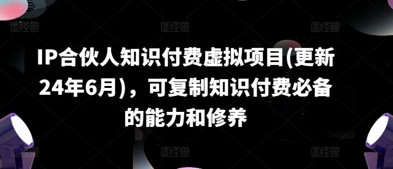 IP合伙人知识付费虚拟项目(更新24年6月)，可复制知识付费必备的能力和修养-网赚联盟