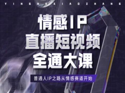 情感IP直播短视频全通大课，普通人IP之路从情感赛道开始-网赚联盟