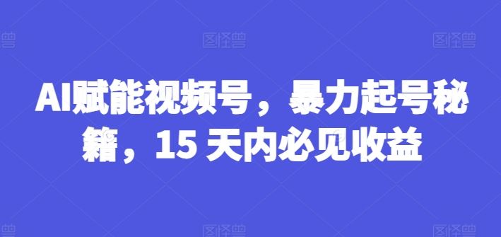 AI赋能视频号，暴力起号秘籍，15 天内必见收益【揭秘】-网赚联盟
