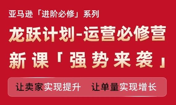 亚马逊进阶必修系列，龙跃计划-运营必修营新课，让卖家实现提升 让单量实现增长-网赚联盟