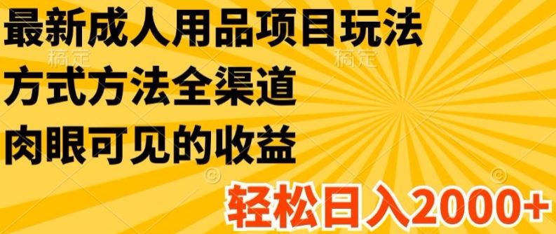 最新成人用品项目玩法，方式方法全渠道，轻松日入2K+【揭秘】-网赚联盟