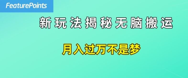 简单操作，每天50美元收入，搬运就是赚钱的秘诀【揭秘】-网赚联盟