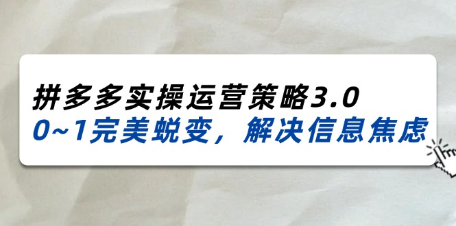 （11658期）2024_2025拼多多实操运营策略3.0，0~1完美蜕变，解决信息焦虑（38节）-网赚联盟