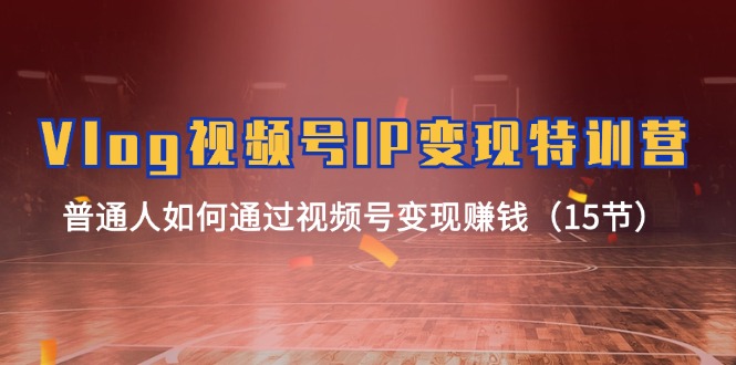 （11654期）Vlog 视频号IP变现特训营，普通人如何通过视频号变现赚钱（15节）-网赚联盟