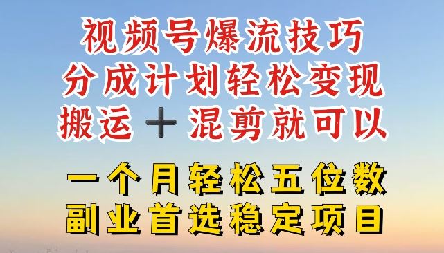 视频号爆流技巧，分成计划轻松变现，搬运 +混剪就可以，一个月轻松五位数稳定项目【揭秘】-网赚联盟