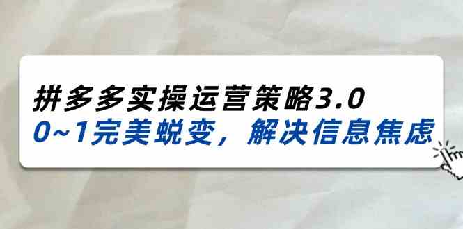 2024-2025拼多多实操运营策略3.0，0~1完美蜕变，解决信息焦虑（38节）-网赚联盟
