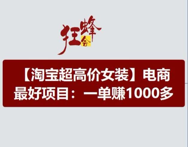 淘宝超高价女装项目，电商最好赛道，一单赚1000多-网赚联盟