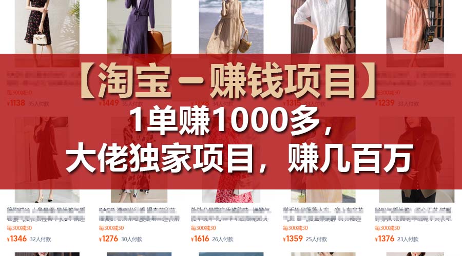 （11685期）【淘宝赚钱项目】1单可赚1000多，大佬独家项目，年赚几百万-网赚联盟