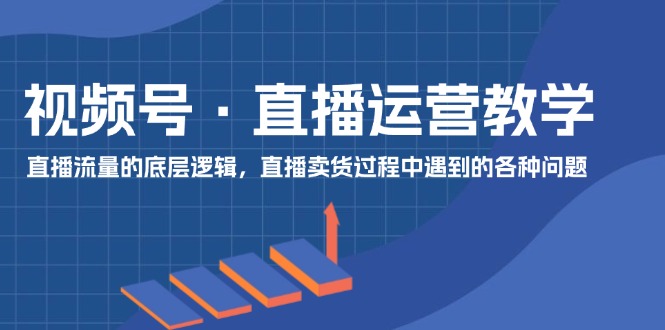 （11687期）视频号 直播运营教学：直播流量的底层逻辑，直播卖货过程中遇到的各种问题-网赚联盟
