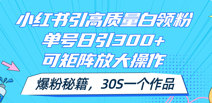 （11692期）小红书引高质量白领粉，单号日引300+，可放大操作，爆粉秘籍！30s一个作品-网赚联盟