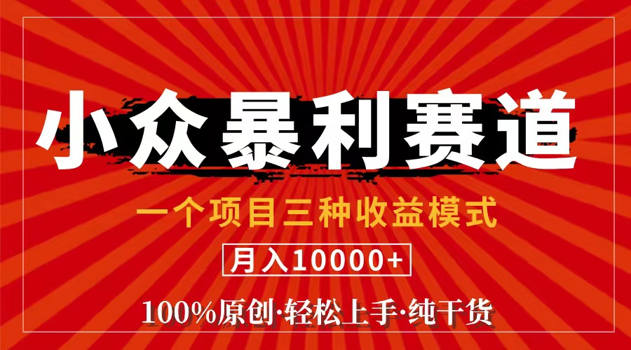 （11695期）视频号【中老年粉深信不疑】小众赛道 100%原创 手把手教学 新号3天收益…-网赚联盟