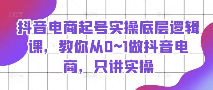 抖音电商起号实操底层逻辑课，教你从0~1做抖音电商，只讲实操-网赚联盟