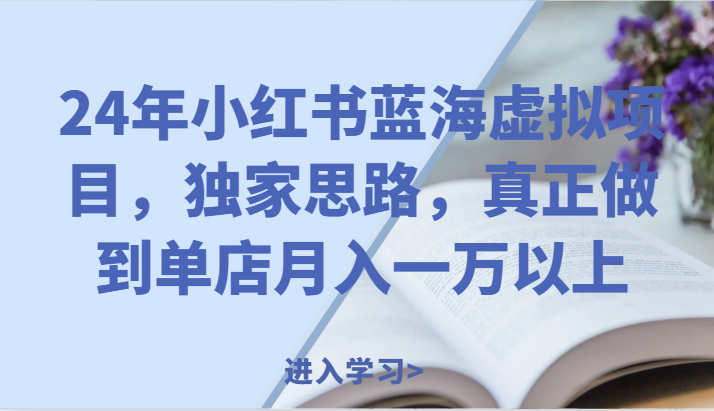24年小红书蓝海虚拟项目，独家思路，真正做到单店月入一万以上。-网赚联盟