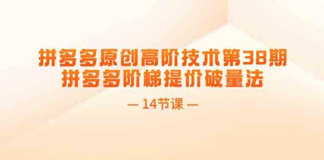 拼多多原创高阶技术第38期，拼多多阶梯提价破量法（14节课）-网赚联盟