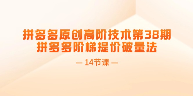 （11704期）拼多多原创高阶技术第38期，拼多多阶梯提价破量法（14节课）-网赚联盟