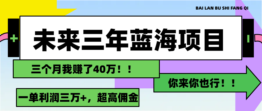 （11716期）未来三年，蓝海赛道，月入3万+-网赚联盟