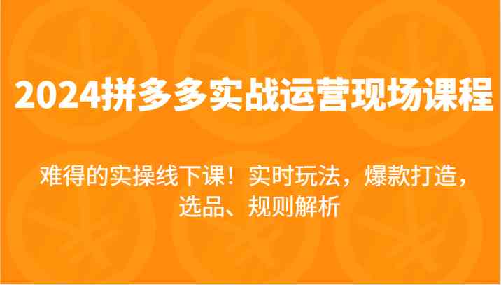 2024拼多多实战运营现场课，实时玩法，爆款打造，选品、规则解析，难得的实操线下课！-网赚联盟