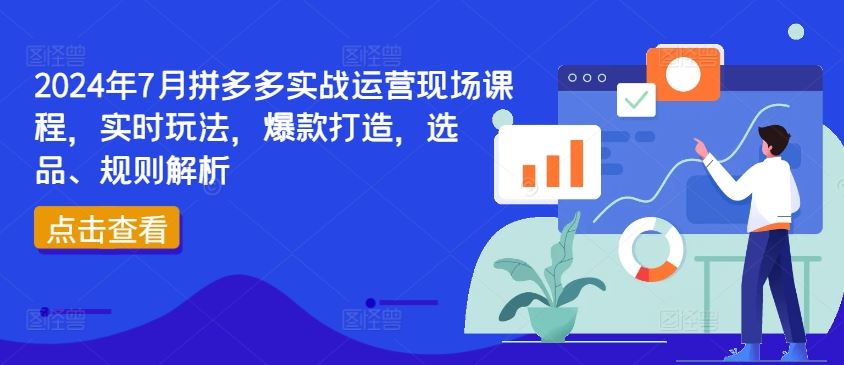 2024年7月拼多多实战运营现场课程，实时玩法，爆款打造，选品、规则解析-网赚联盟