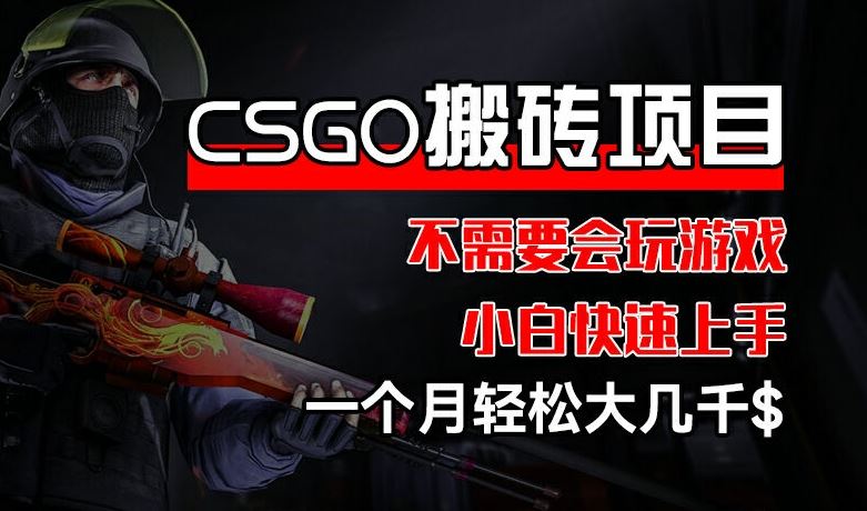 CSGO 装备搬砖项目，操作简单，不需要会玩游戏，小白也能快速上手，一个月轻松大几千【揭秘】-网赚联盟