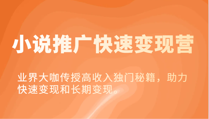 小说推广快速变现营-业界大咖传授高收入独门秘籍，助力快速变现和长期变现。-网赚联盟