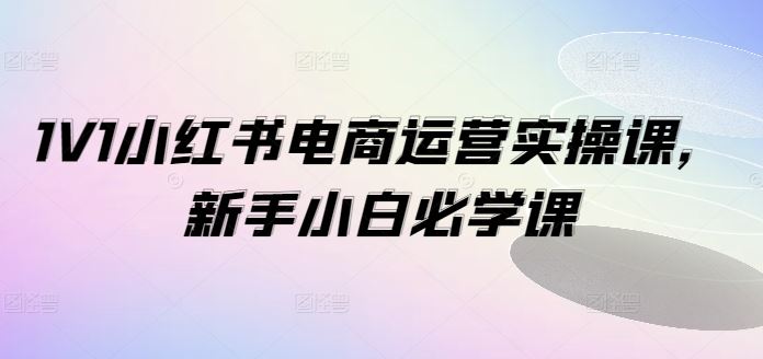 1V1小红书电商运营实操课，新手小白必学课-网赚联盟