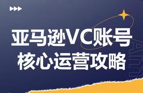 亚马逊VC账号核心玩法解析，实战经验拆解产品模块运营技巧，提升店铺GMV，有效提升运营利润-网赚联盟