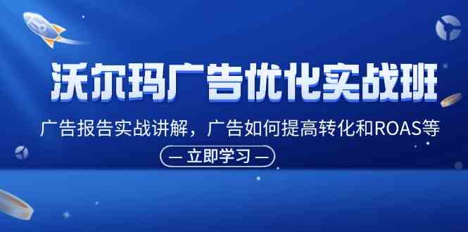 沃尔玛广告优化实战班，广告报告实战讲解，广告如何提高转化和ROAS等-网赚联盟