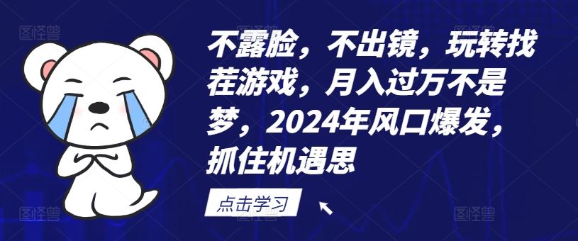 不露脸，不出镜，玩转找茬游戏，月入过万不是梦，2024年风口爆发，抓住机遇【揭秘】-网赚联盟