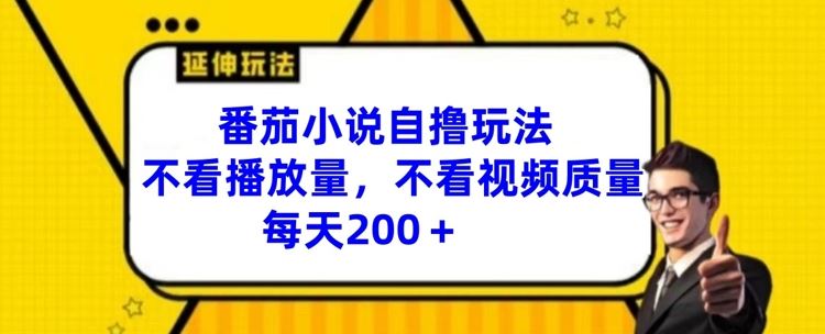 番茄小说自撸玩法，不看播放量，不看视频质量，每天200+【揭秘】-网赚联盟