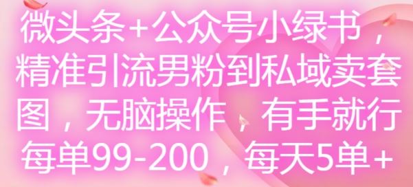 微头条+公众号小绿书，精准引流男粉到私域卖套图，无脑操作，有手就行，每单99-200，每天5单-网赚联盟