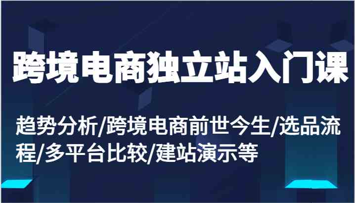 跨境电商独立站入门课：趋势分析/跨境电商前世今生/选品流程/多平台比较/建站演示等-网赚联盟