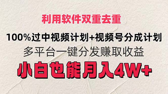 （11862期）利用软件双重去重，100%过中视频+视频号分成计划小白也可以月入4W+-网赚联盟