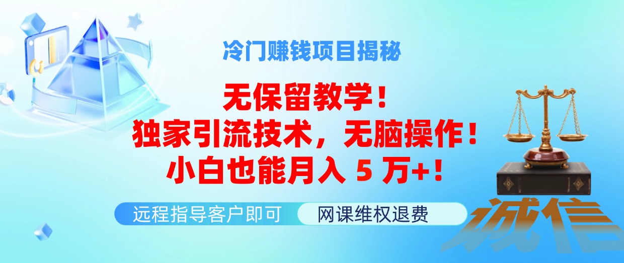 （11864期）冷门赚钱项目无保留教学！独家引流技术，无脑操作！小白也能月入5万+！-网赚联盟
