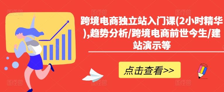 跨境电商独立站入门课(2小时精华),趋势分析/跨境电商前世今生/建站演示等-网赚联盟