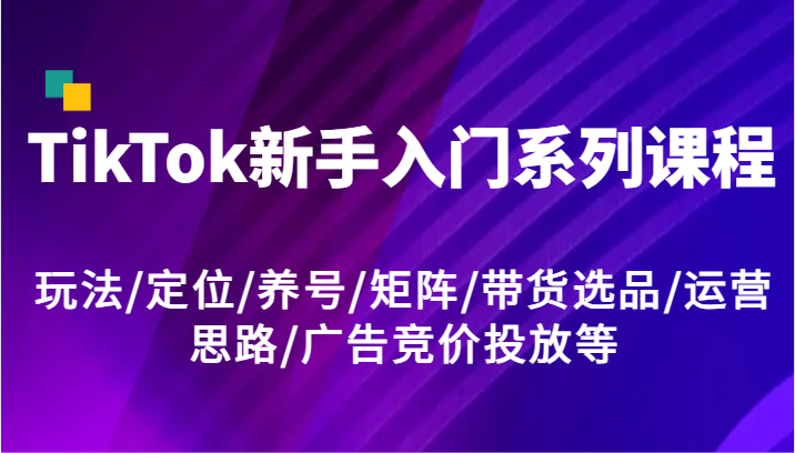 TikTok新手入门系列课程，玩法/定位/养号/矩阵/带货选品/运营思路/广告竞价投放等-网赚联盟