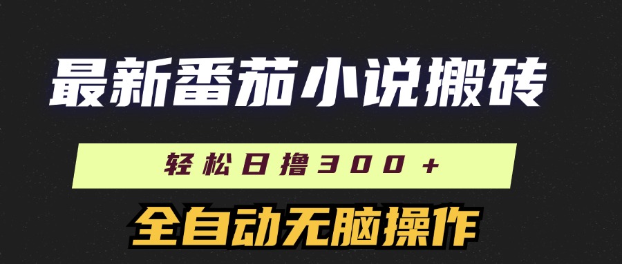 （11904期）最新番茄小说搬砖，日撸300＋！全自动操作，可矩阵放大-网赚联盟